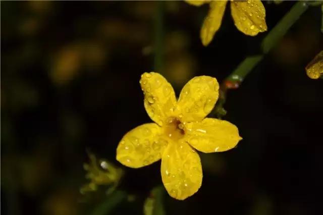 中国航天五零四所介绍,中国航天五零四研究所