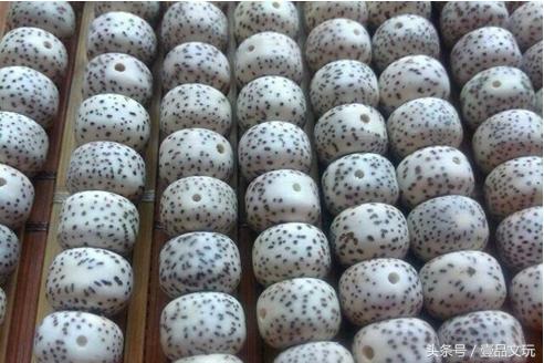 星月菩提是怎么分辨真假的,星月菩提真的怎么鉴别