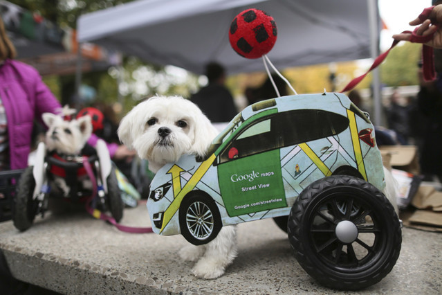 下载谷歌街景地图2013年,谷歌街景高清地图视频