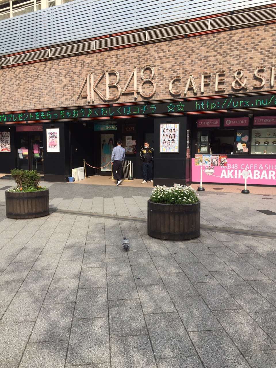 你和去日本旅行只差一张机票是一个国家更像是一个星球