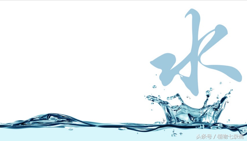 养花为什么要有土,养花浇水什么水最好