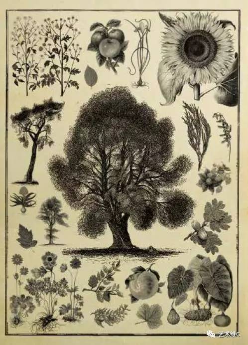 你猜猜，几百年前人们是怎么收藏的？