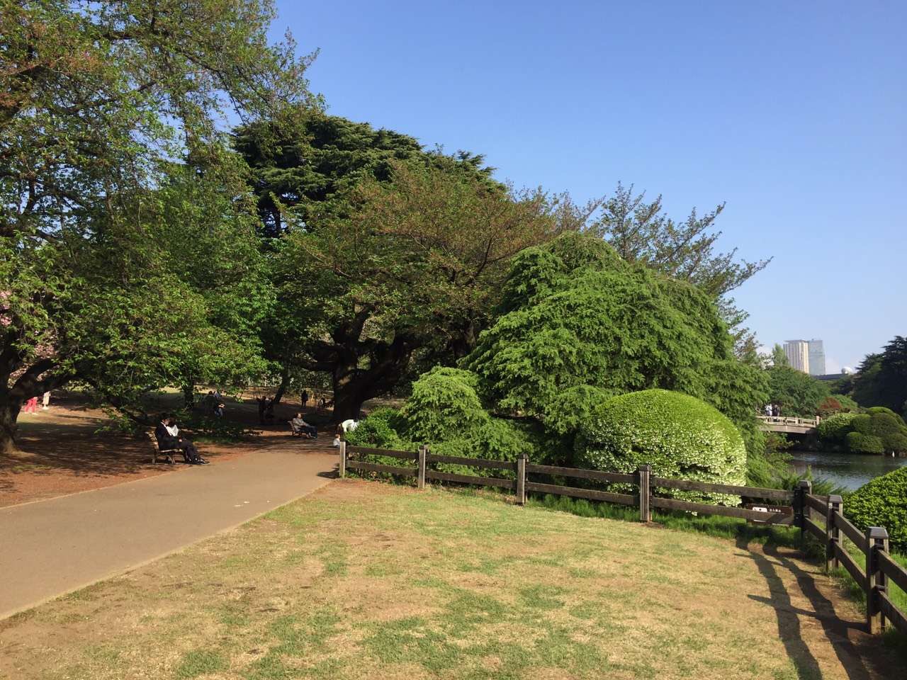 你和去日本旅行只差一张机票是一个国家更像是一个星球