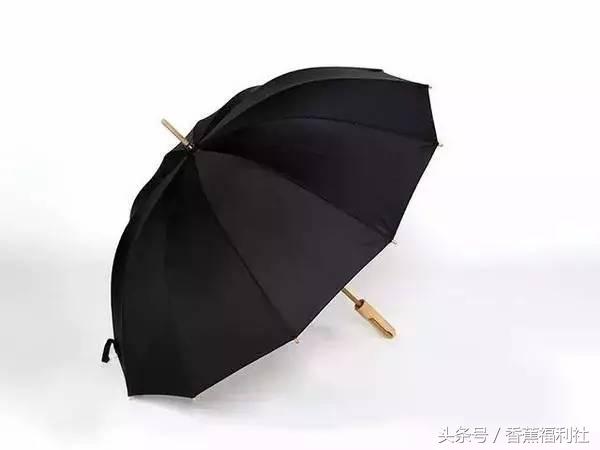 连雨伞都如此有身段,下雨天不带它们出门都说不过去!