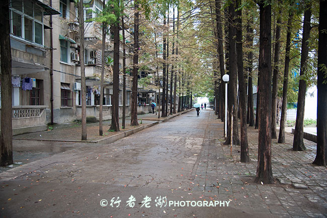 高考对我们来说是小菜一碟，黄冈中学真有那么虐人吗