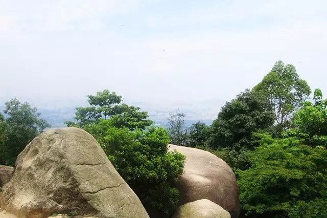 双人自助午餐立减后104元,双人午餐海鲜烤肉自助广州