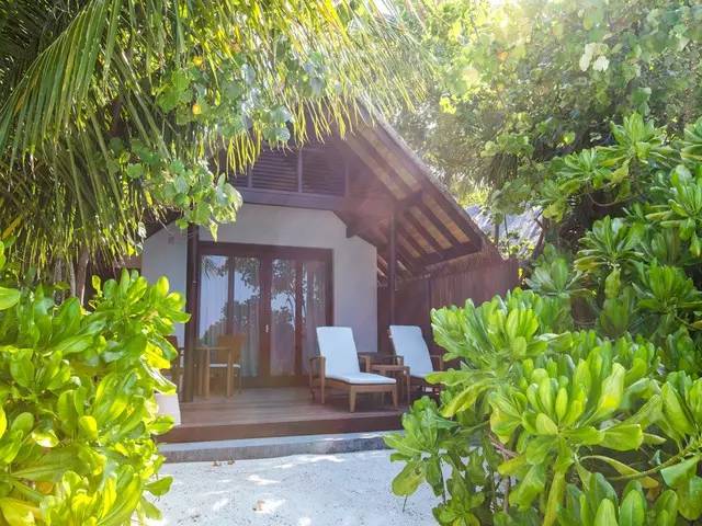 马尔代夫的温柔与浪漫,马尔代夫遇见爱情