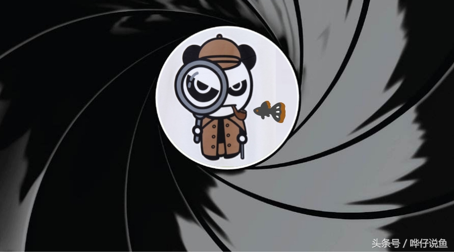 宠物鱼玩家高考开始啦！到目前为止，全国只有一人满分！