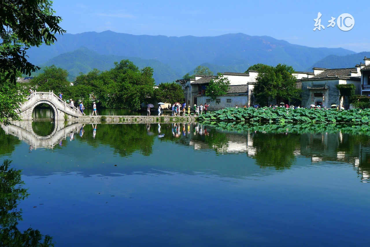 安徽的白酒有哪些品牌,安徽阜阳白酒有哪些品牌