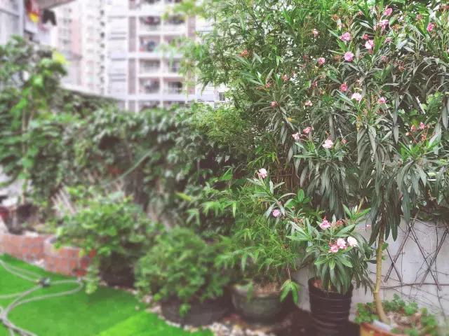 23米x13米免费设计图,23平米院子设计