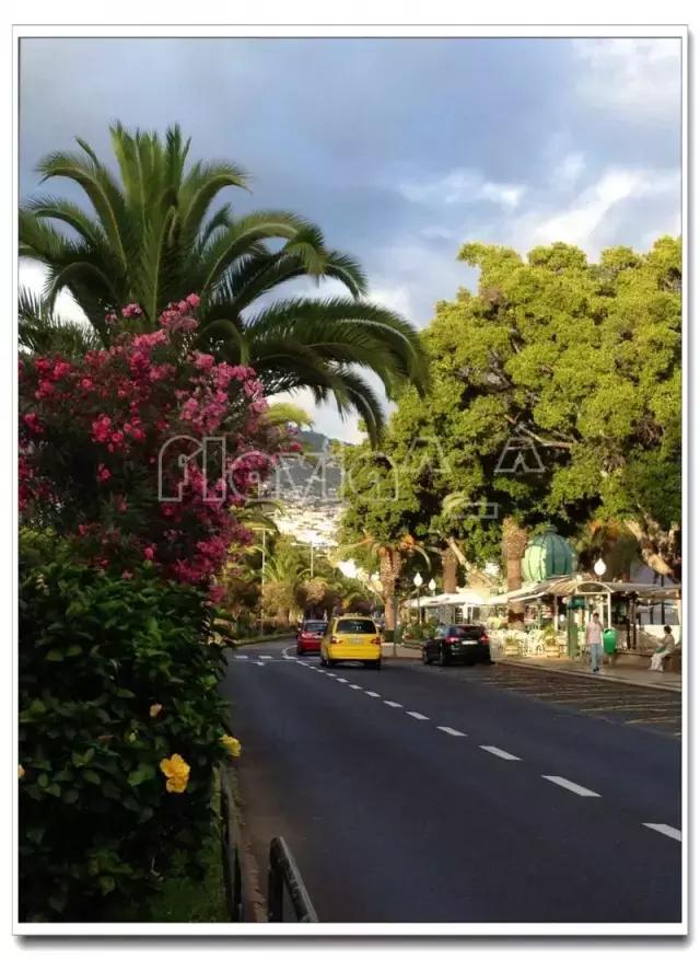 c罗出生在丰沙尔吗,c罗的家在丰沙尔什么地方