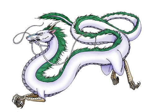 龙的最佳三个贵人2022年,88年的龙什么时候才遇到贵人