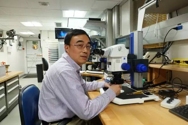 古生物学家发现化石,古生物学家探索古墓