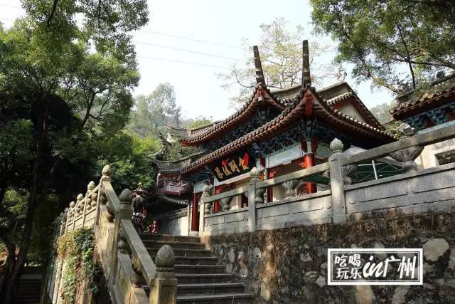 广州最新最美最好玩的景点,广州最值得去玩的景点推荐一下