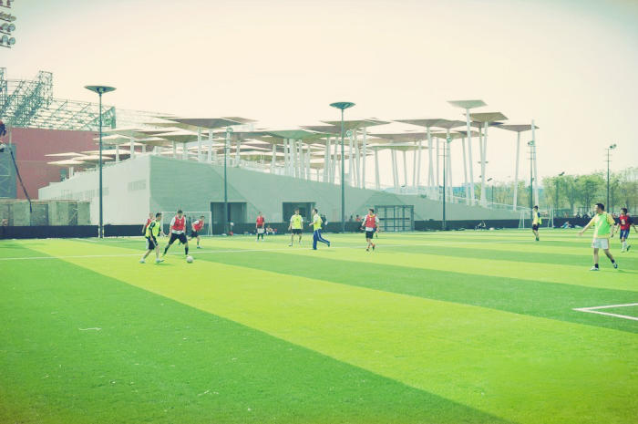 上海哪里有足球场草坪,上海足球场草坪哪家好