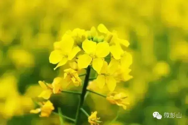 澶у江灞辩殑缇庢櫙,褰北鏄ュ鏃呮父