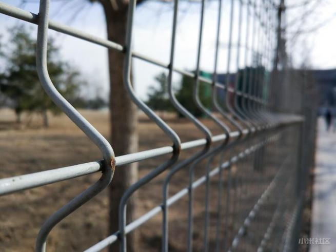 小米5拍照效果,小米5有拍照吗