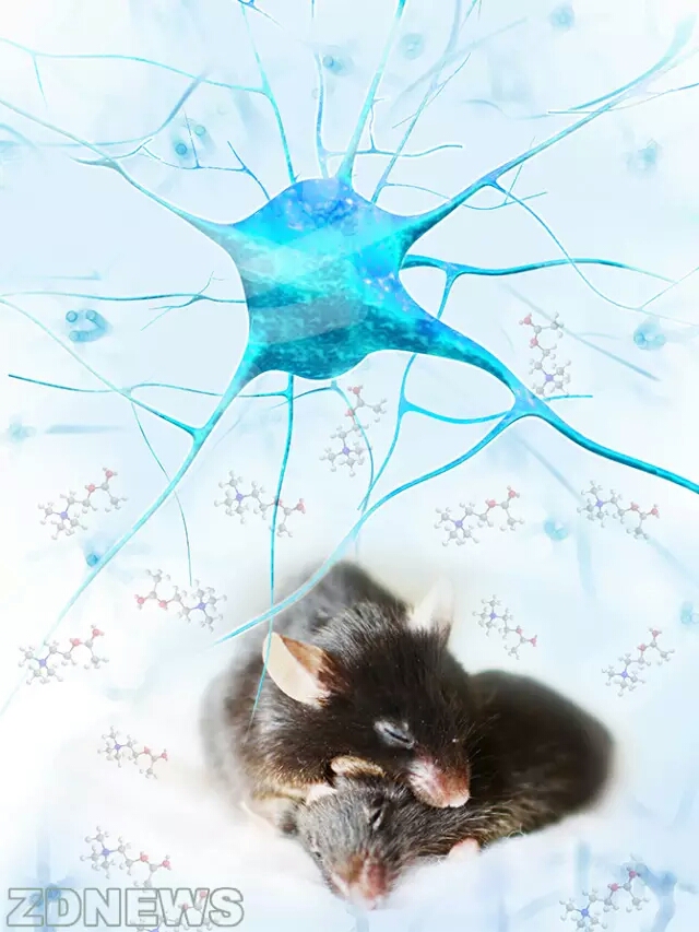 还在为失眠而困扰吗,还在为睡眠困扰吗教你一招