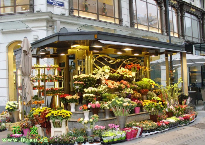 要开花店需要掌握哪些知识,开花店需要什么手续和费用
