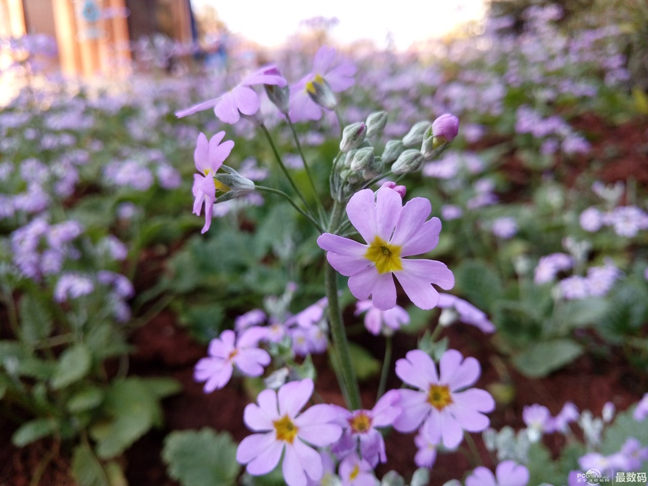 vivoxfold音质测评,vivox6plus的音质怎么样