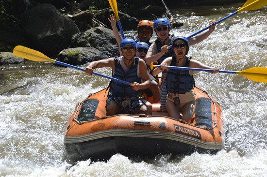 甄子丹儿子跆拳道红带,张晋被女儿“甜蜜家暴”,功夫二代太厉害
