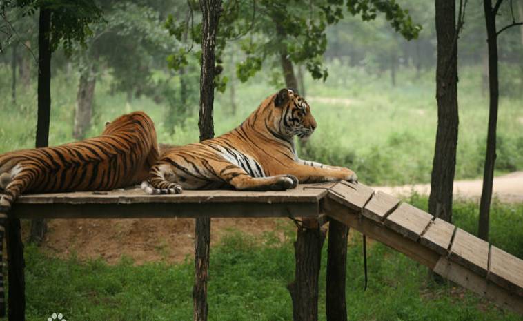 河北带孩子去最好玩的游乐场,河北最大的儿童室内游乐场