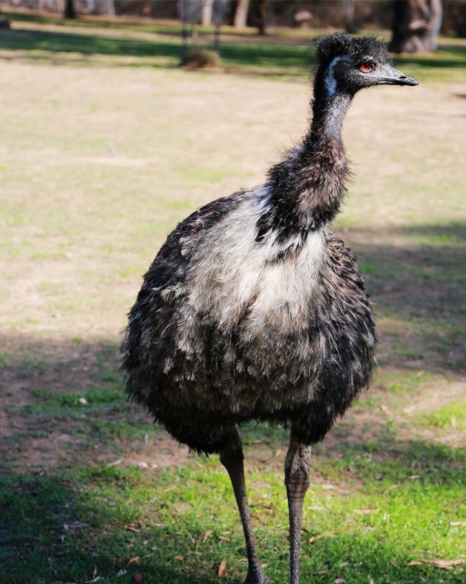 河北带孩子去最好玩的游乐场,河北最大的儿童室内游乐场