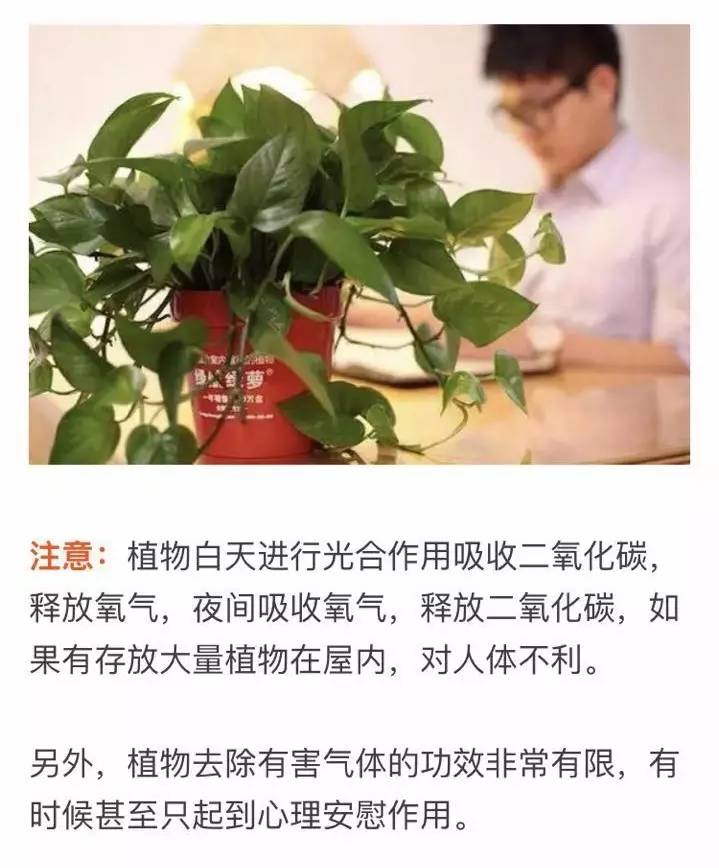 房间有装修的味道是甲醛吗,装修后如何去除甲醛的味道