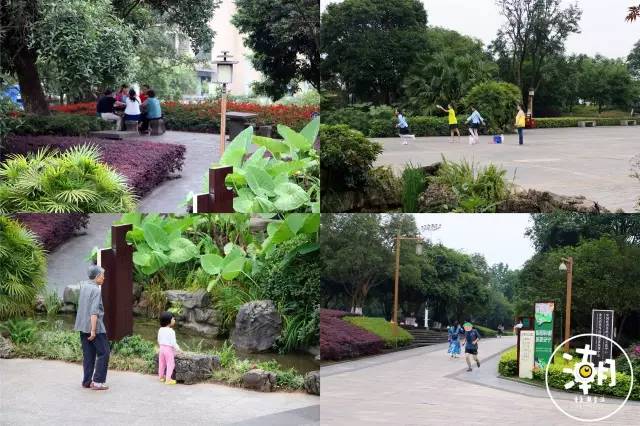 重庆桂花园景点,重庆桂花公园免费
