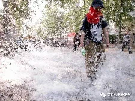 杨絮纷飞怎么消灭,杨絮柳絮怎样应对