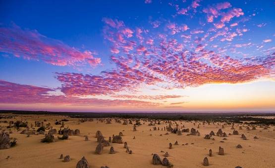 先定一个小目标活下来,先定一个小目标全集