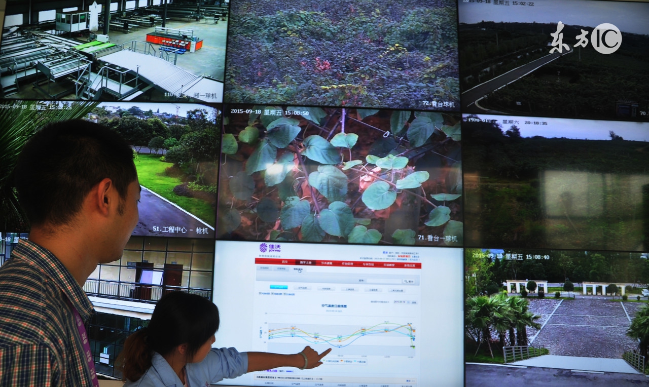 农业物联网有哪些经济效益,农业实现物联网的好处