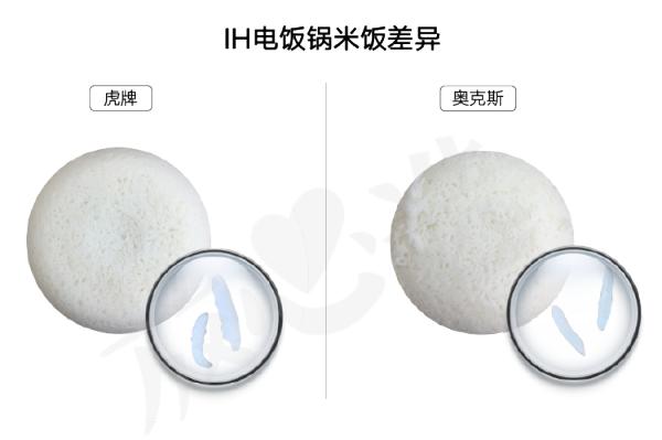 探知不为人知的秘密,电饭锅的秘密探究记录