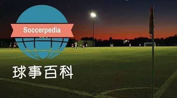 改制的欧冠好不好,改制后欧冠奖杯排行