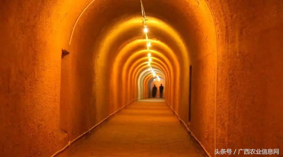 广西苏式园林,合浦周边园林