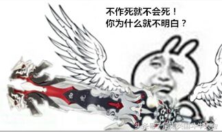 买英国斗牛犬被骗,买英国斗牛士