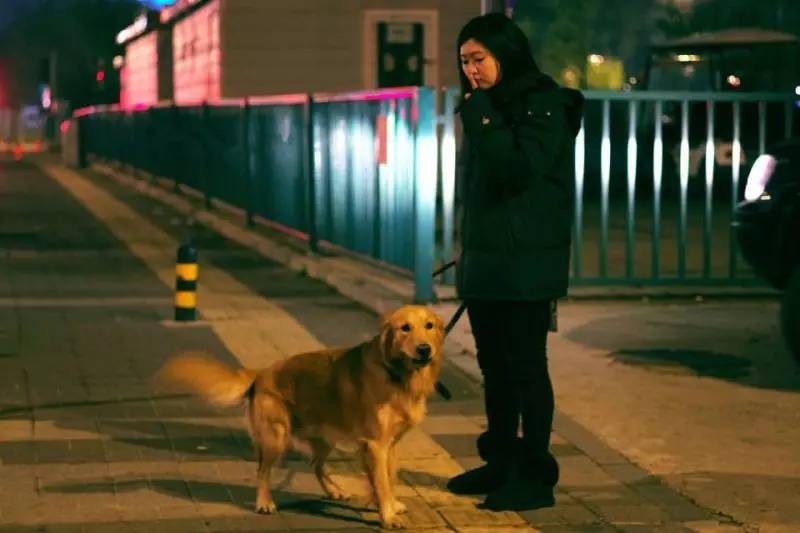 苏州宠物可去的景点,苏州宠物打卡景点在哪里