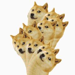 是男人就要*飞机打**，二次元的飞机更棒哦