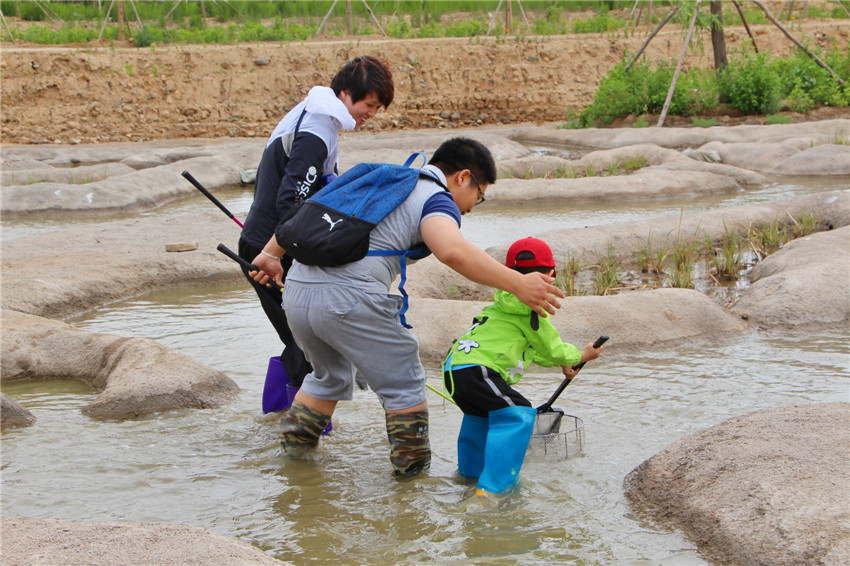 你不曾来过原唱完整版,曹妃甸美景