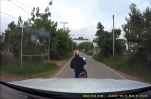 搞笑gif动图：汪星人，你是打算练蛤蟆神功吗