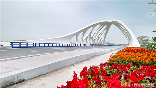 大美青岛之珊瑚贝桥,高清青岛珊瑚贝桥夜景