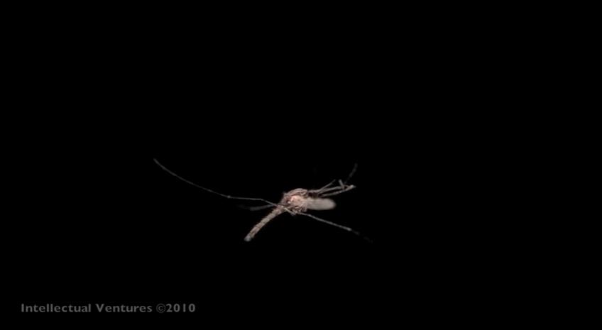 升级夏日光环,升级装备要用太阳之息吗