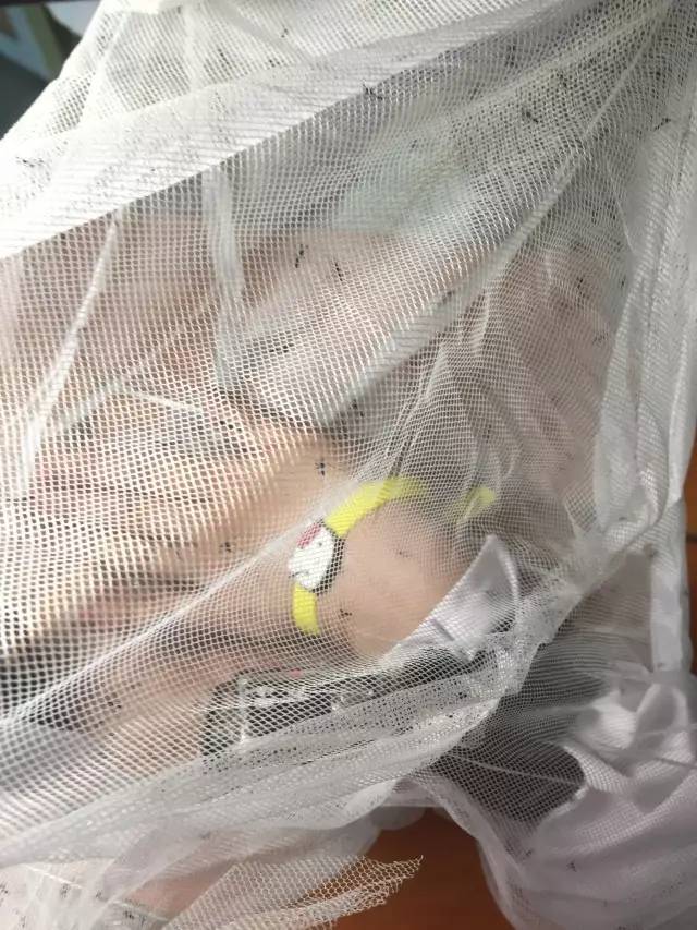 央视驱蚊测评,驱蚊产品测评主播