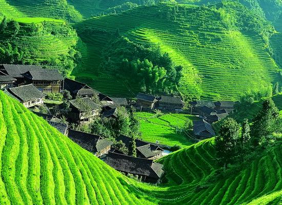 桂林游玩攻略注意事项,桂林到张家界旅游详细攻略