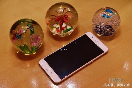 oppor11详细测评,oppor11优缺点详细评测