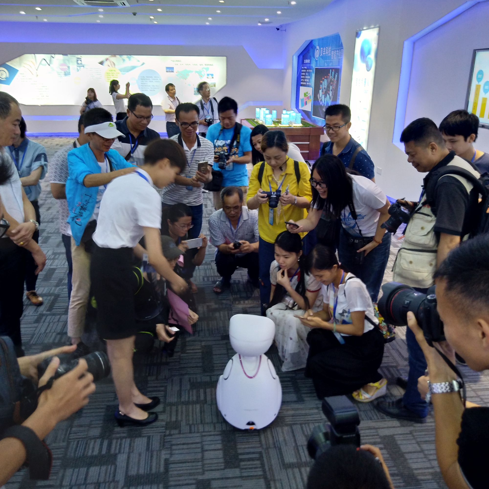 网眼看创城,网眼看长安