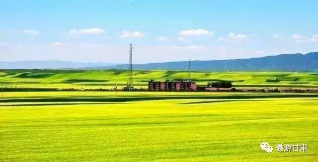 山丹军马场几月份最漂亮,山丹军马场特色