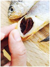 如何给儿童做鱼吃更有营养,给宝宝怎么做鱼更有营养