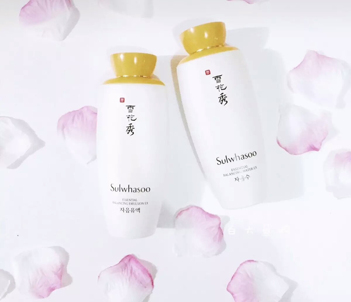 水乳抗老搭配,水乳不油腻抗衰老