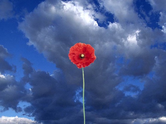 kenzo香水是什么味道,kenzo所有香水香调介绍